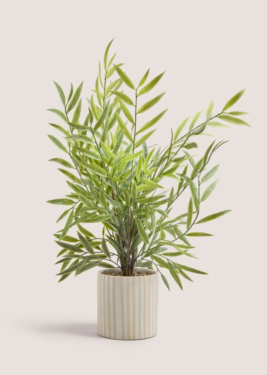 Bamboo In Ceramic Ribbed Pot