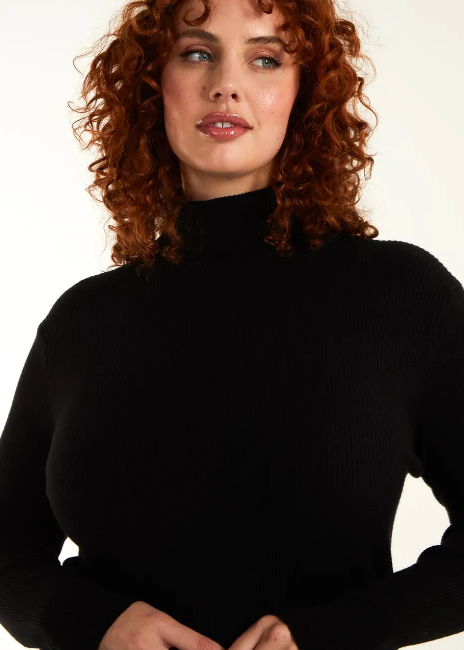 Blue Vanilla Black Curve Ribbed Roll Neck Midi Dress