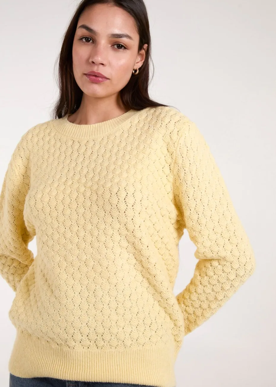 Blue Vanilla Lemon Textured Knit Jumper