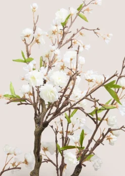 Cherry Blossom Tree