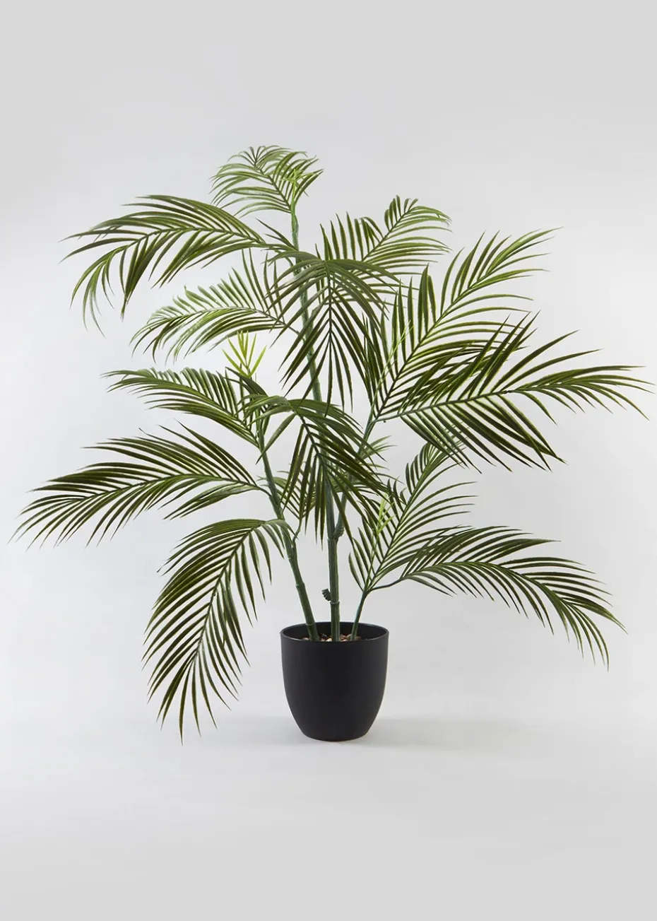Fern Tree in Pot