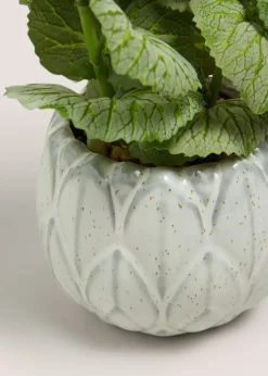 Herb In Artichoke Pot