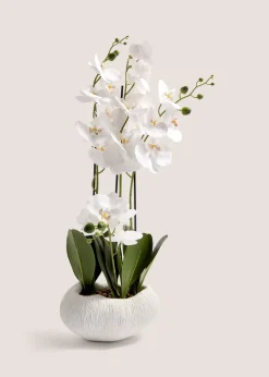 Orchid In Resin Shell Pot (41cm x 31cm x 70cm)