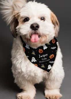 Personalised Memento Company Black Halloween Dog Bandana