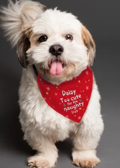 Personalised Memento Company Red 'Too cute for the naughty list' Dog Bandana