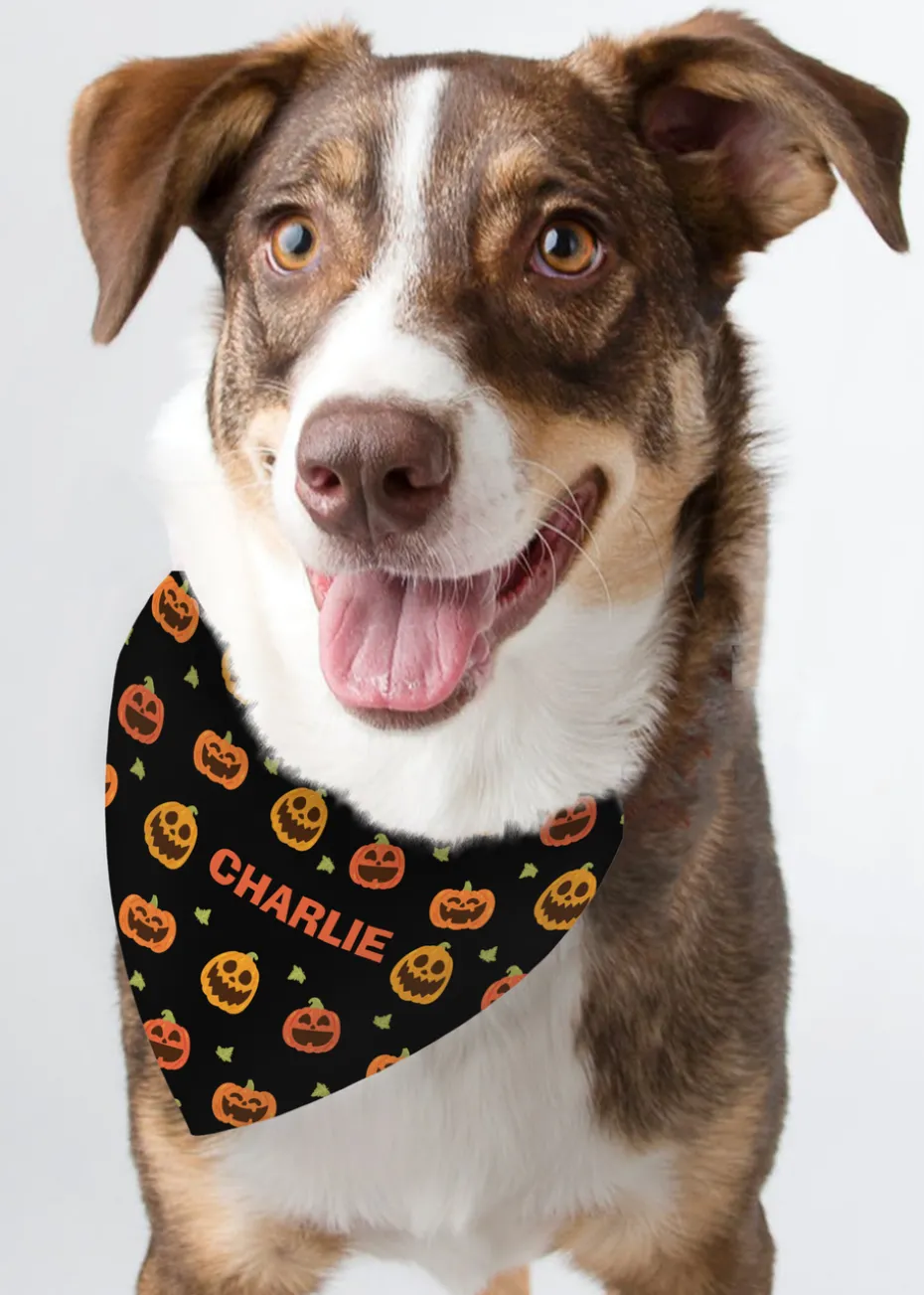 Personalised Memento Company Black Pumpkin Patch Dog Bandana