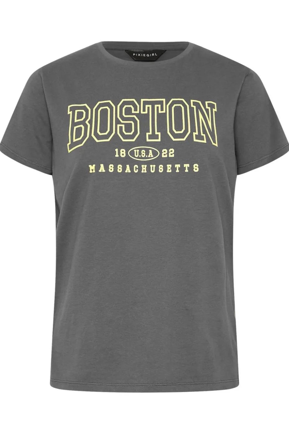 Pixiegirl Grey Boston Slogan T-Shirt