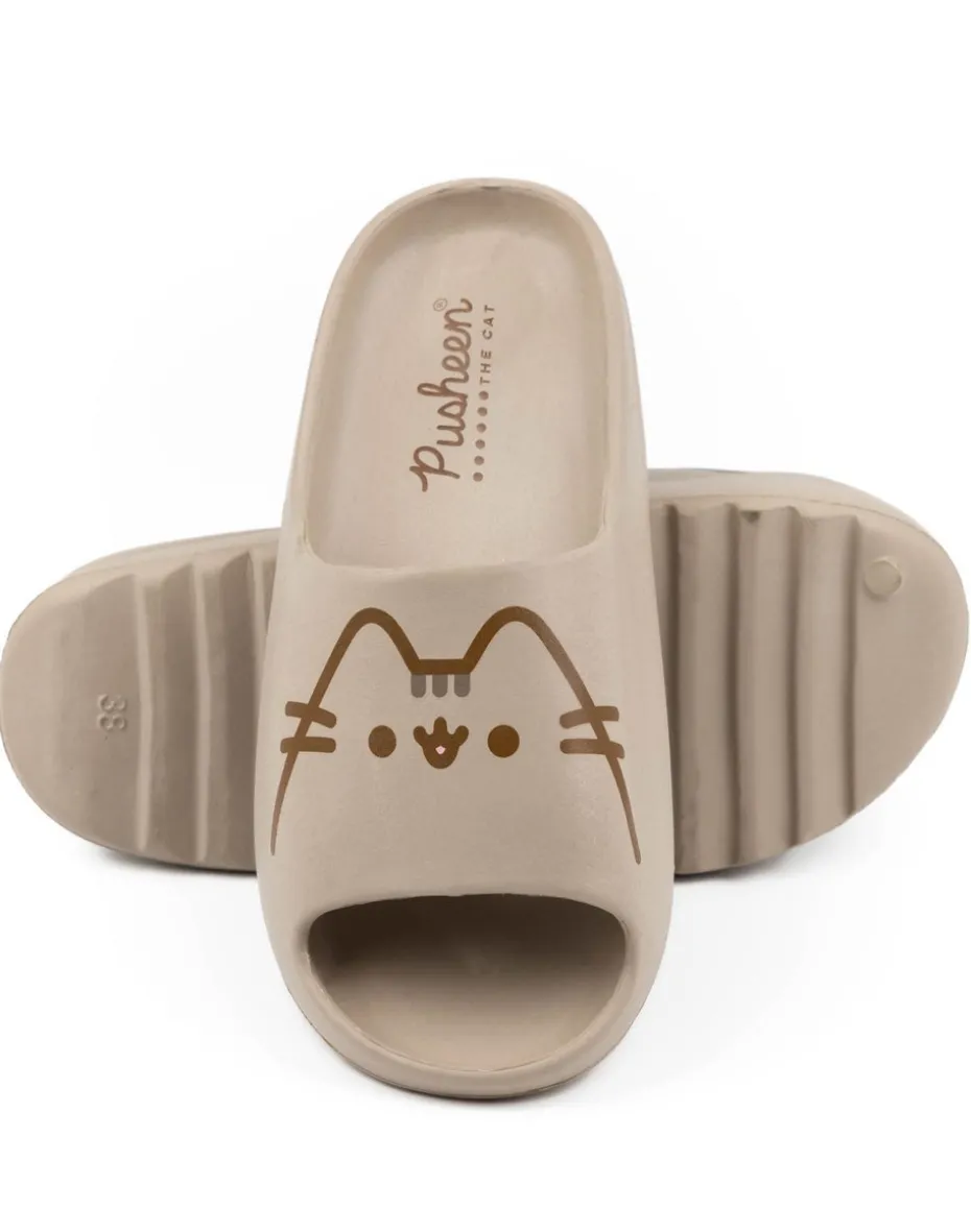 Pusheen Brown Character Sliders