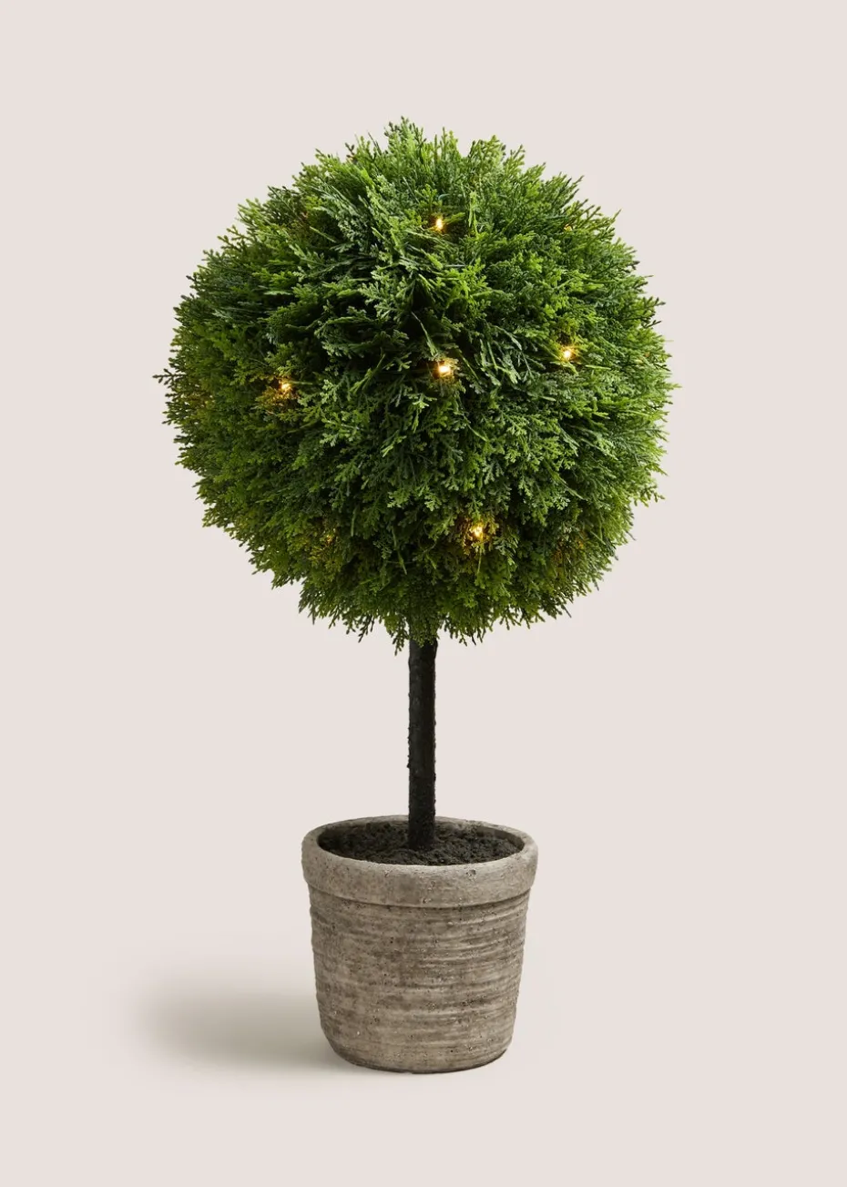 Snail Topiary Plant With Stone