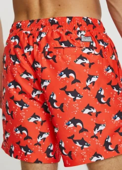Threadbare Red Whale Print Swim Shorts