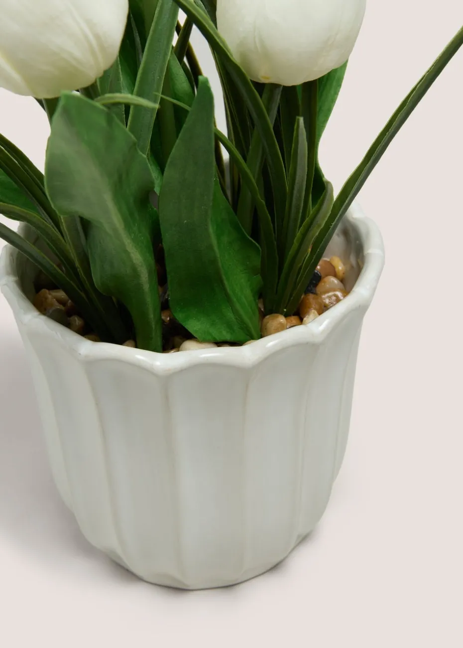 Tulip In Scallop Vase