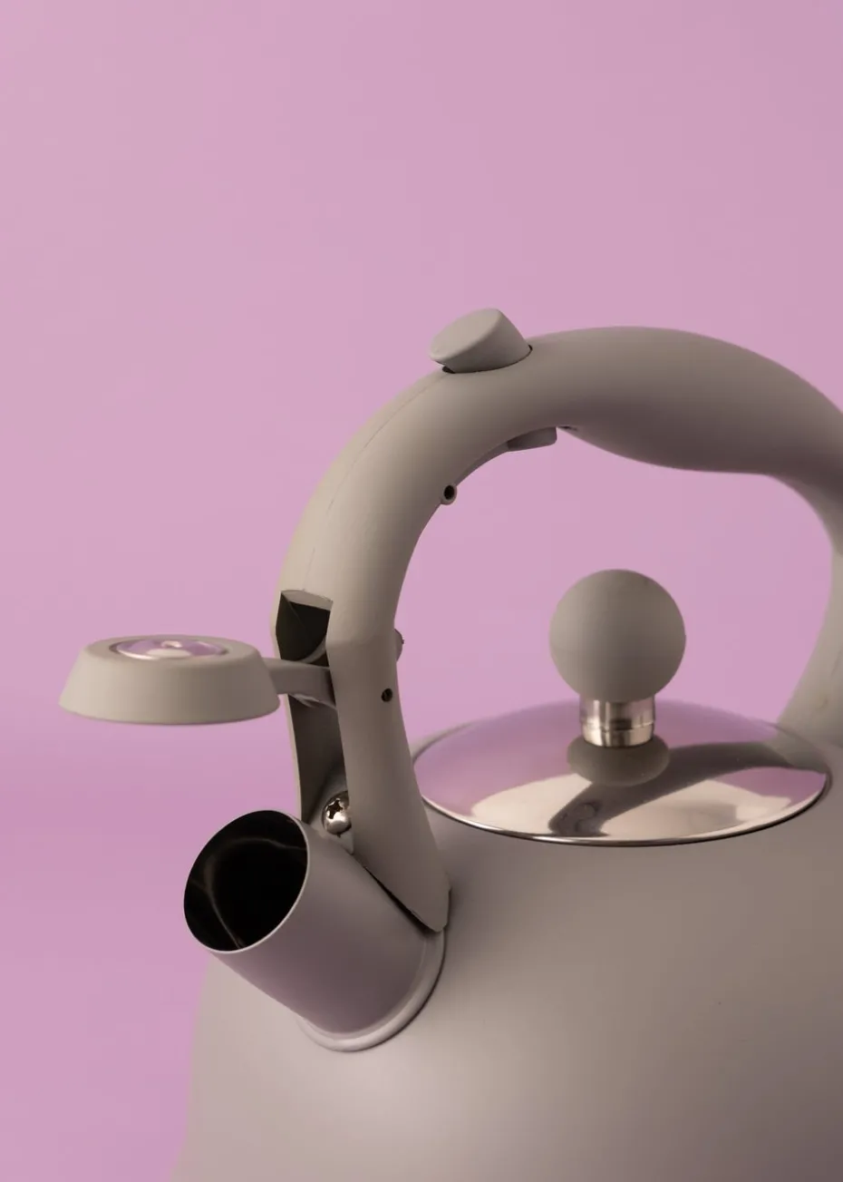 Typhoon Grey Stove Top Kettle