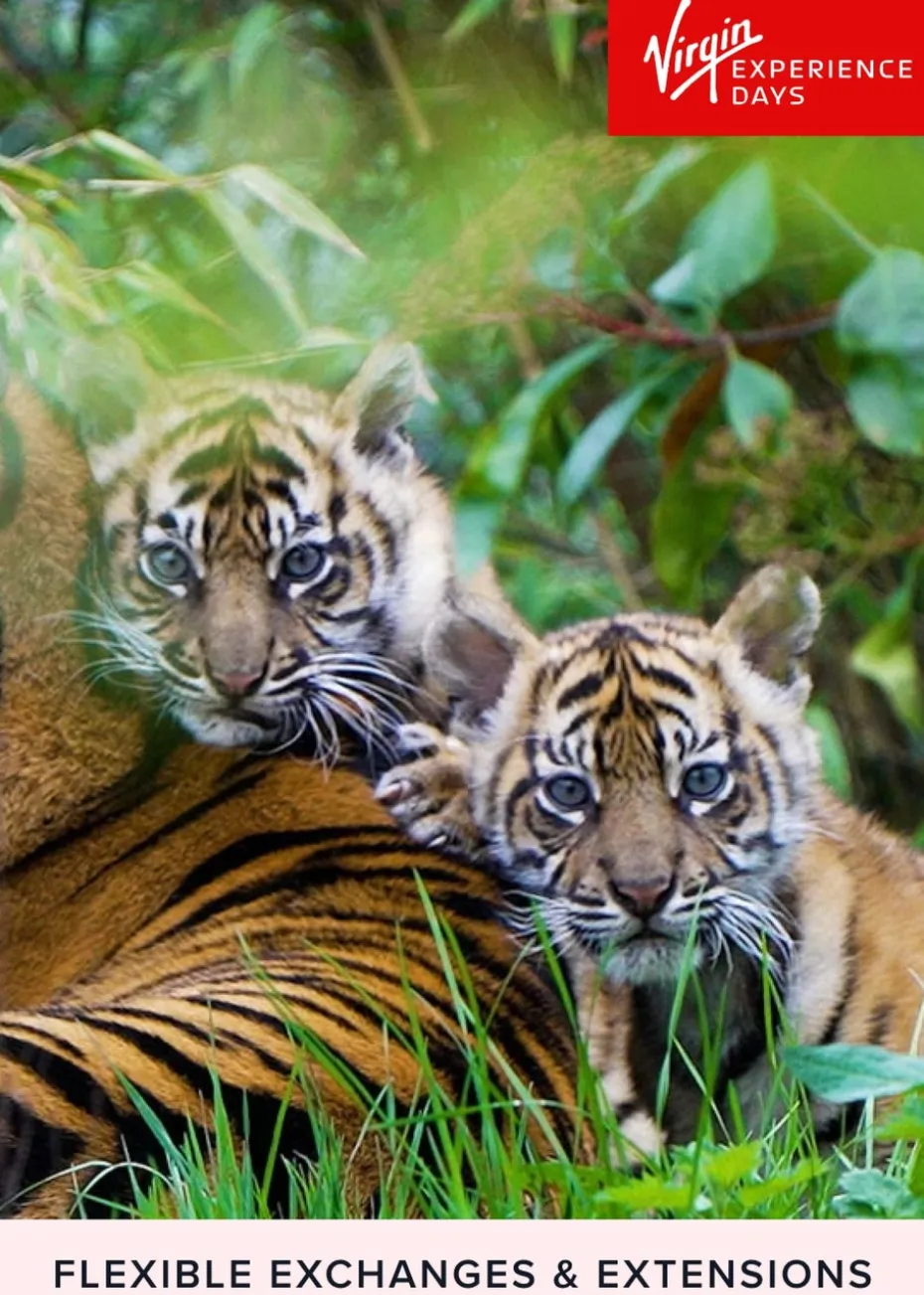 Virgin Experience Days Visit to Chester Zoo for Two